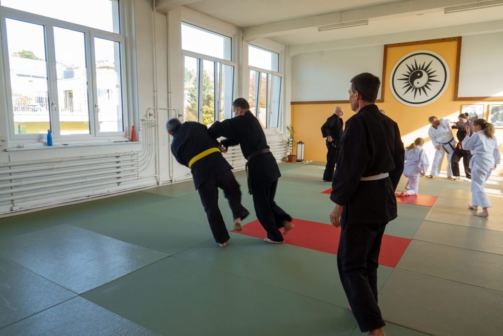 Entraînement au dojo Goshindo To Kenko
