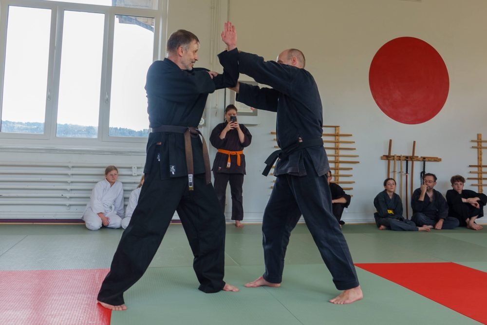 Entraînement au dojo Goshindo To Kenko