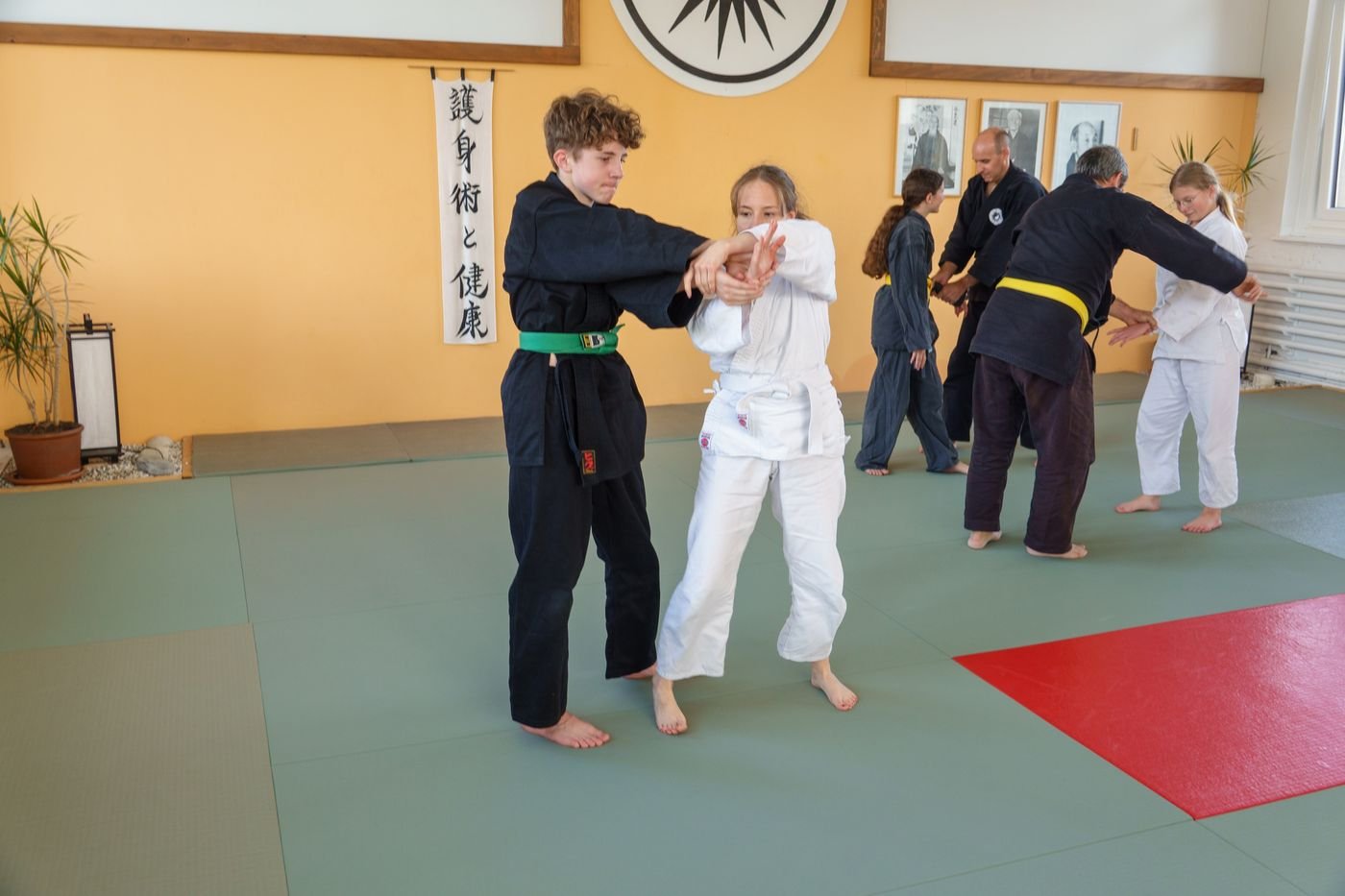 Deux jeunes pratiquants en exercice devant l'emblème du dojo Goshindo To Kenko