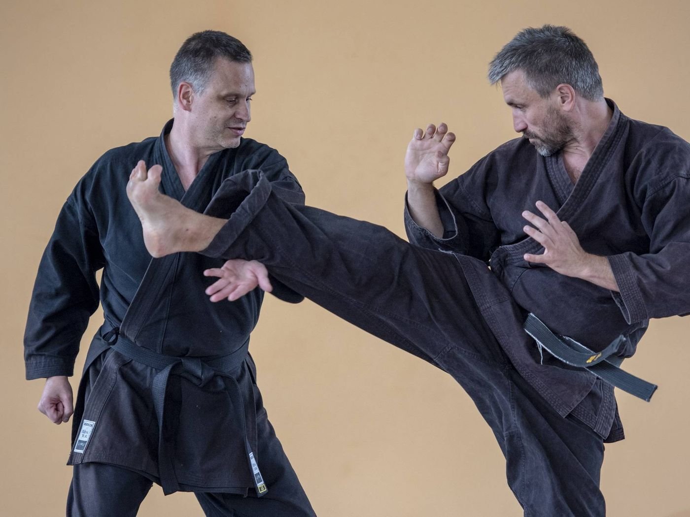 Travail dynamique au dojo Goshindo To Kenko