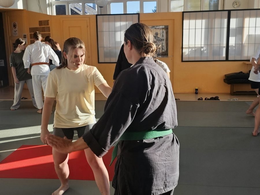 Initiation aux arts martiaux des danseuses du Hangar au dojo Goshindo To Kenko