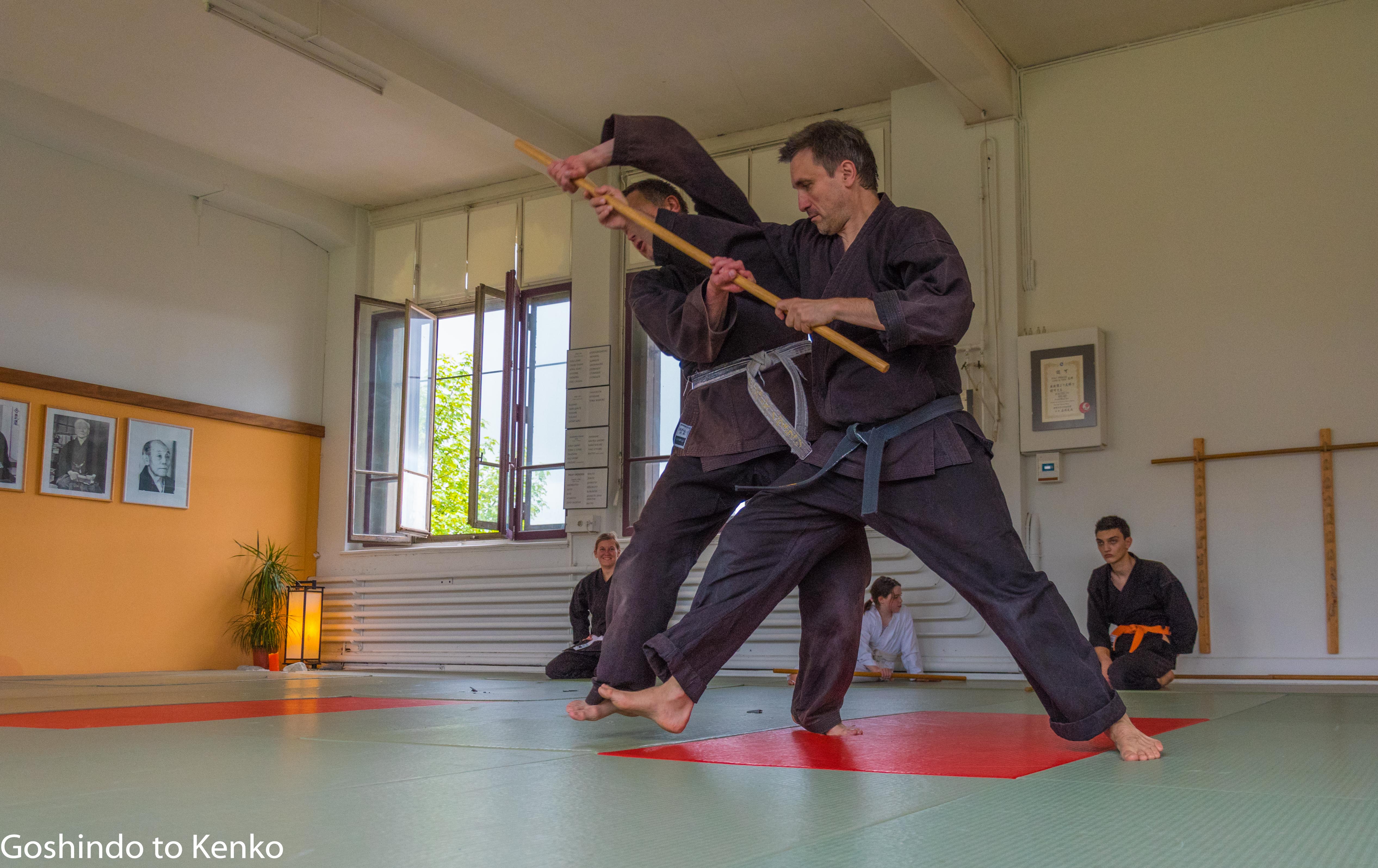 Stage printemps 2016-19