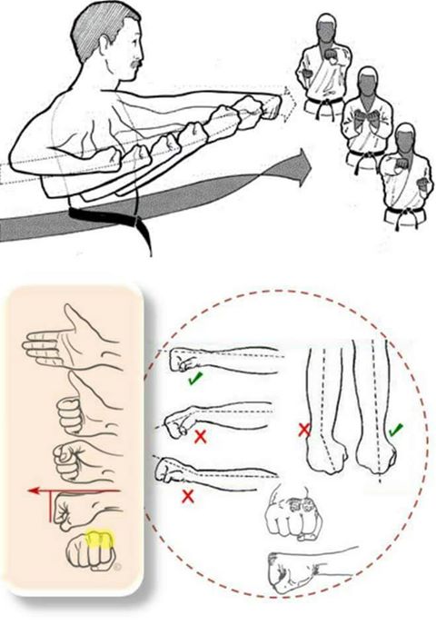 18216579_654296138028535_4274509044671567587_o