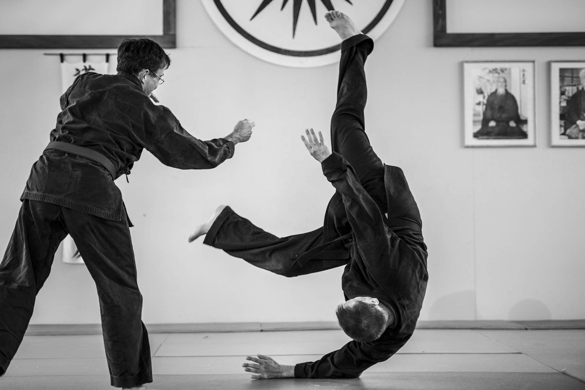 Aikijitsu, projection